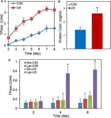 Global Reprogramming of Gene Transcription in Trichoderma reesei by Overexpressing an Artificial Transcription Factor for Improved Cellulase Production and Identification of Ypr1 as an Associated Regulator